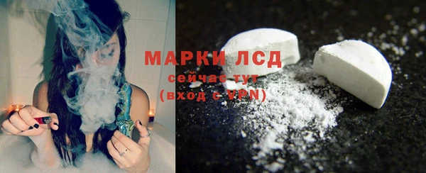 сатива Заволжье