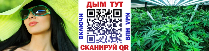 Бошки Шишки индика kraken tor Чишмы